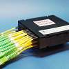 2x24 SM SW Fused Splitter Module
